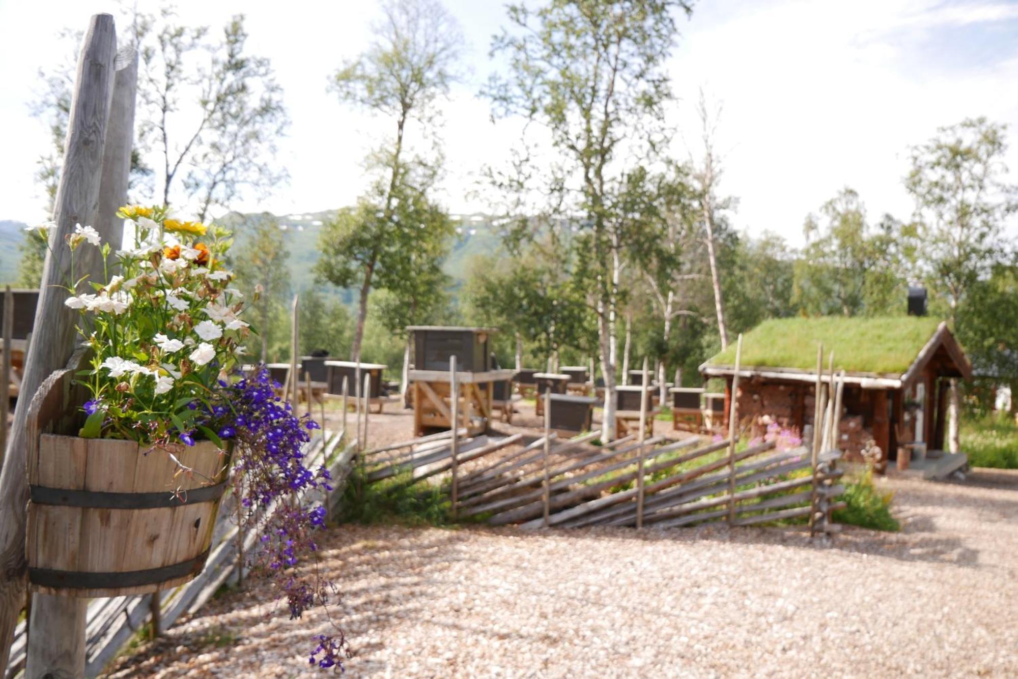 Bardu Huskylodge Buitenkant foto