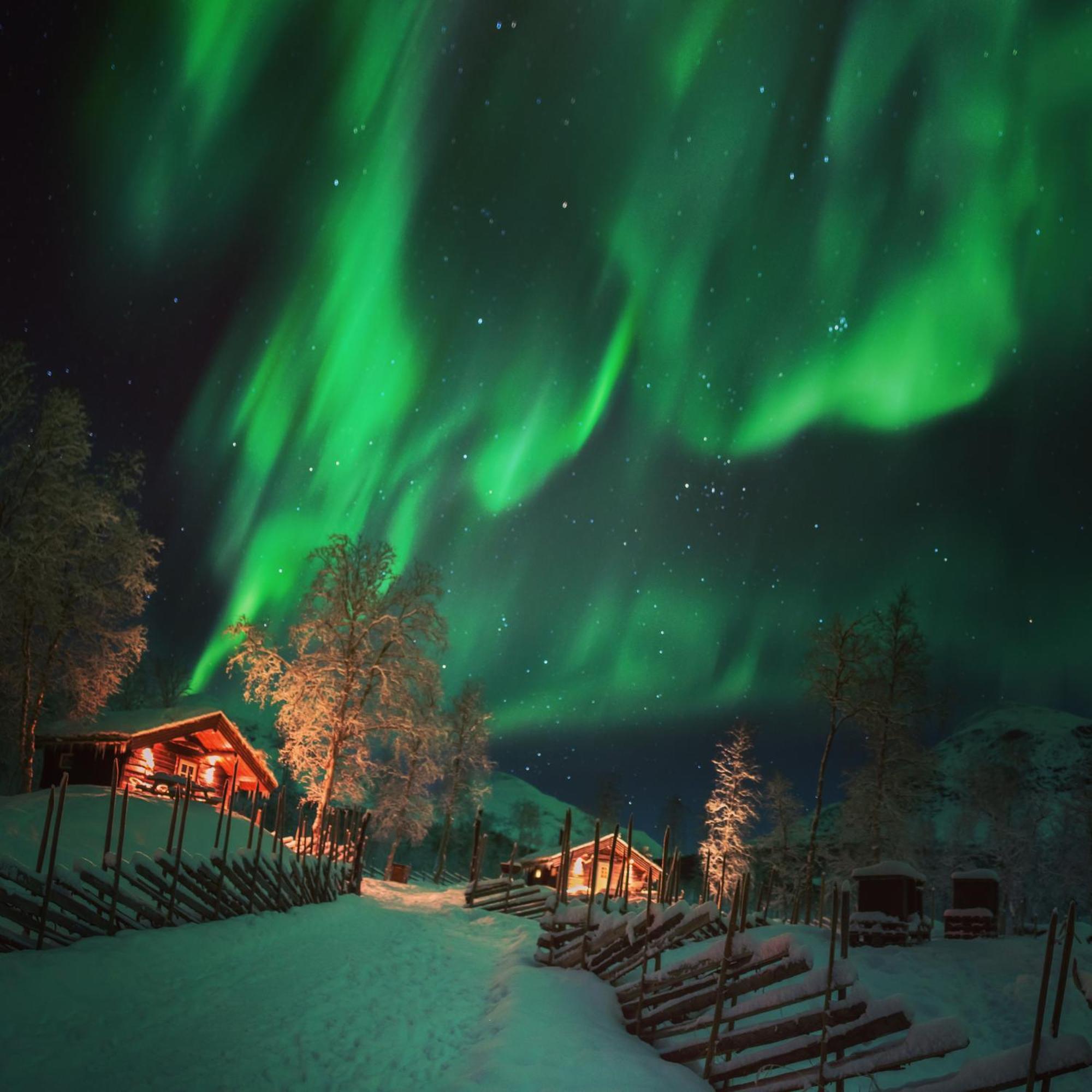 Bardu Huskylodge Buitenkant foto