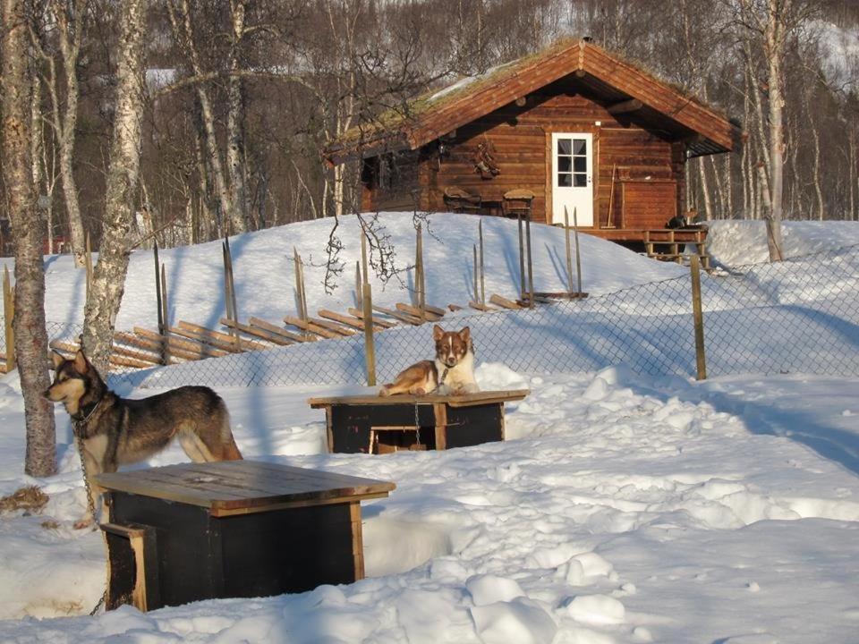 Bardu Huskylodge Buitenkant foto