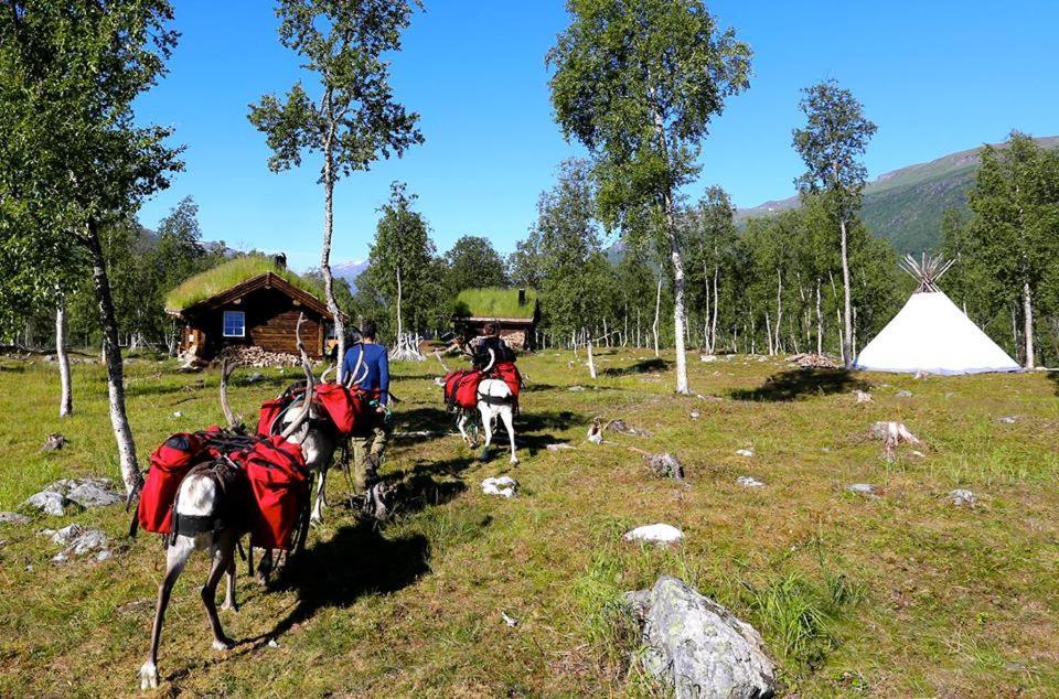 Bardu Huskylodge Buitenkant foto