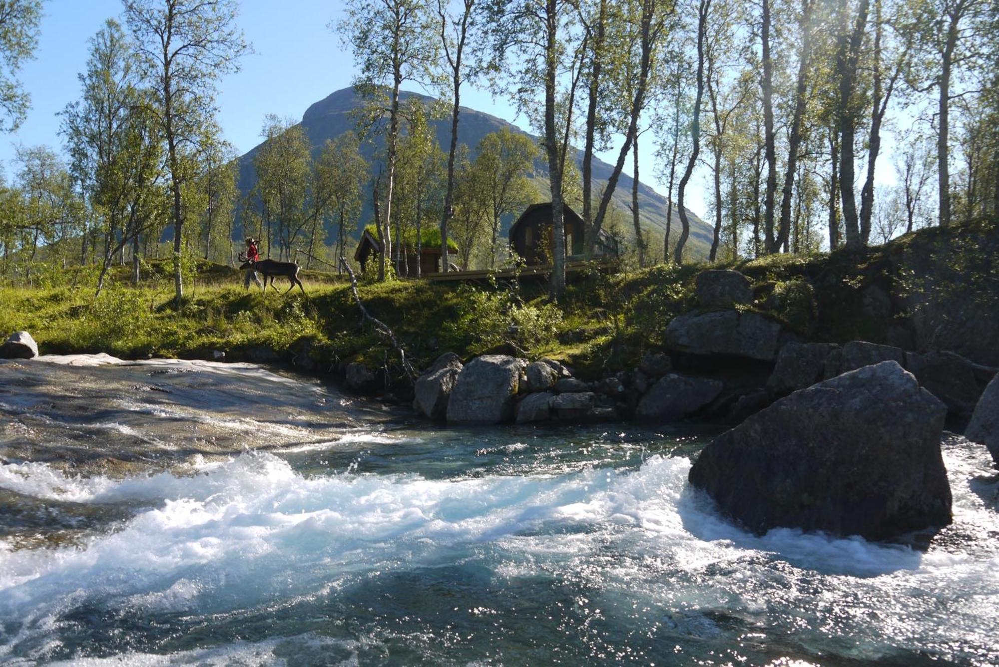 Bardu Huskylodge Buitenkant foto
