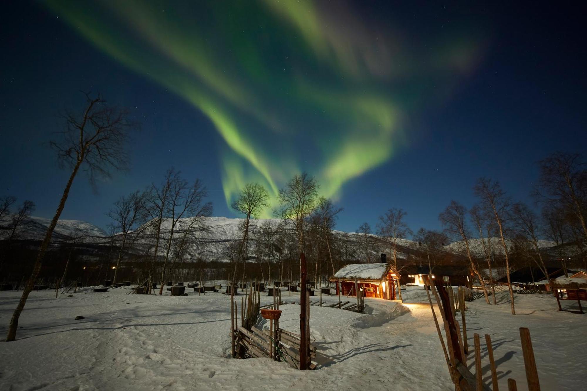 Bardu Huskylodge Buitenkant foto